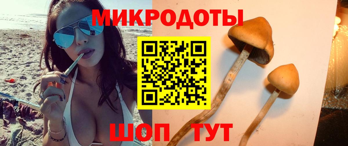 Галлюциногенные грибы Magic Shrooms  Вход с VPN  Мценск 